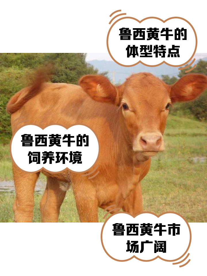 湖南最新医保取现黄牛方法分析(最方便真实的湖南医保取现黄牛怎么取方法)